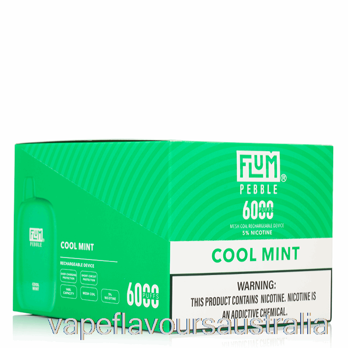 Vape Australia [10-Pack] Flum Pebble 6000 Disposable